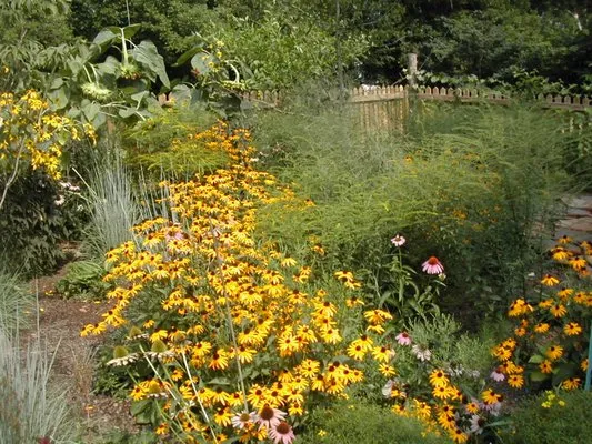 Piedmont Environmental Landscaping & Design