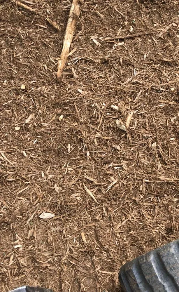 Local lawn mowing service experts serving Statesville, NC - Piedmont Land Clearing And Lawn Services