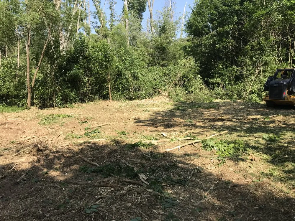 Local yard maintenance near you across Statesville, NC - Piedmont Land Clearing And Lawn Services