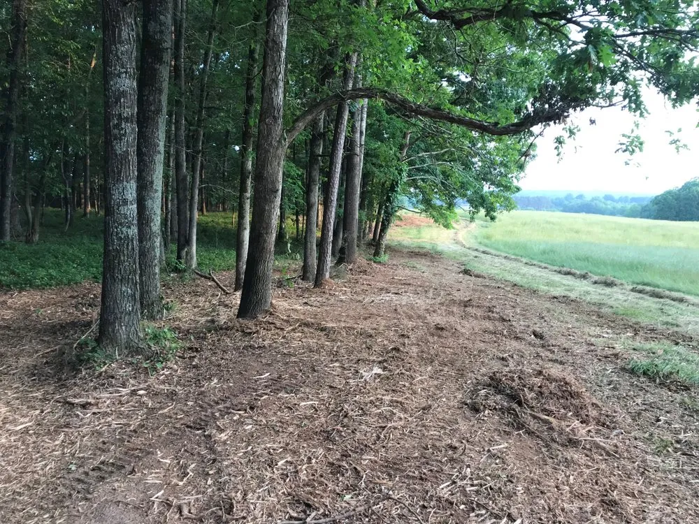 Top-rated yard maintenance with custom design across Statesville, NC - Piedmont Land Clearing And Lawn Services