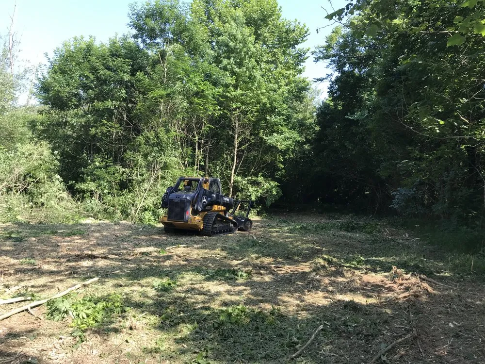 Professional residential landscaping in Statesville, NC - Piedmont Land Clearing And Lawn Services