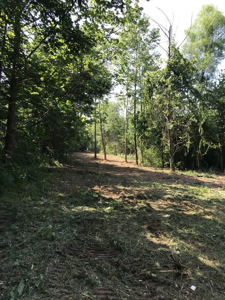 Professional lawn mowing service experts serving Statesville, NC - Piedmont Land Clearing And Lawn Services