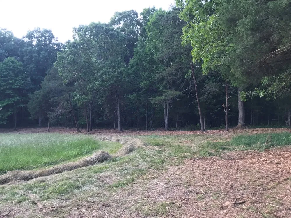 Affordable garden landscaping in Statesville, NC by Piedmont Land Clearing And Lawn Services