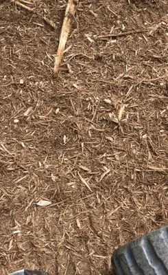 Piedmont Land Clearing And Lawn Services Logo