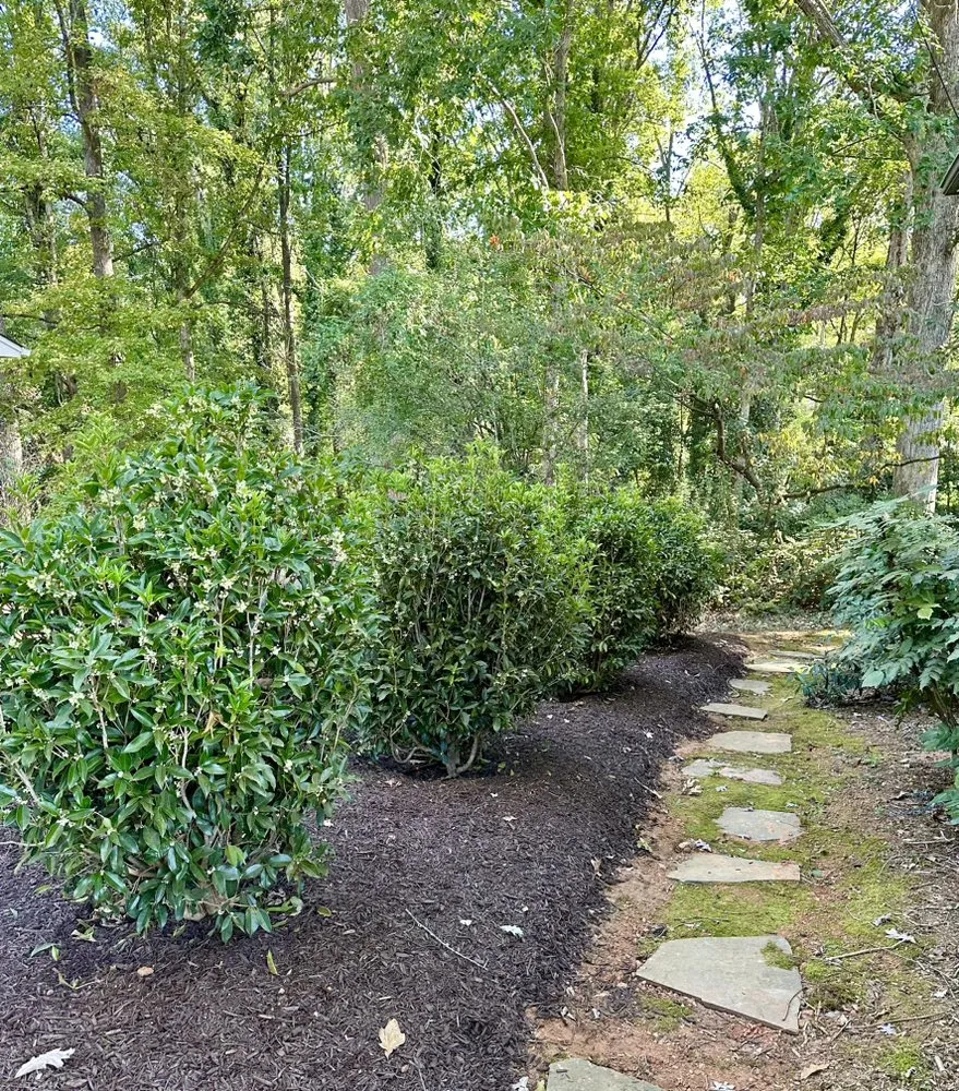 Expert yard cleanup service in Arnoldsville, GA - Piedmont Landscape Management