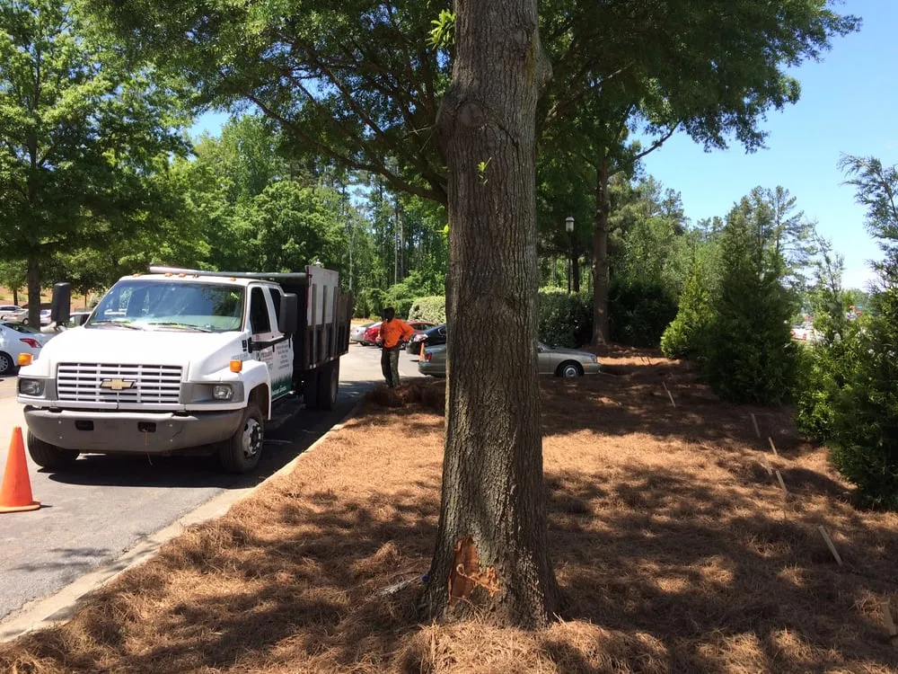 Professional residential landscaping experts serving Augusta, GA - Piedmont Landscape Management