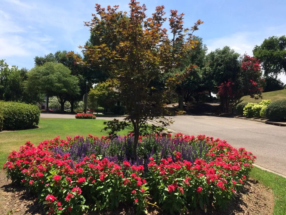 Custom residential landscaping in Augusta, GA - Piedmont Landscape Management