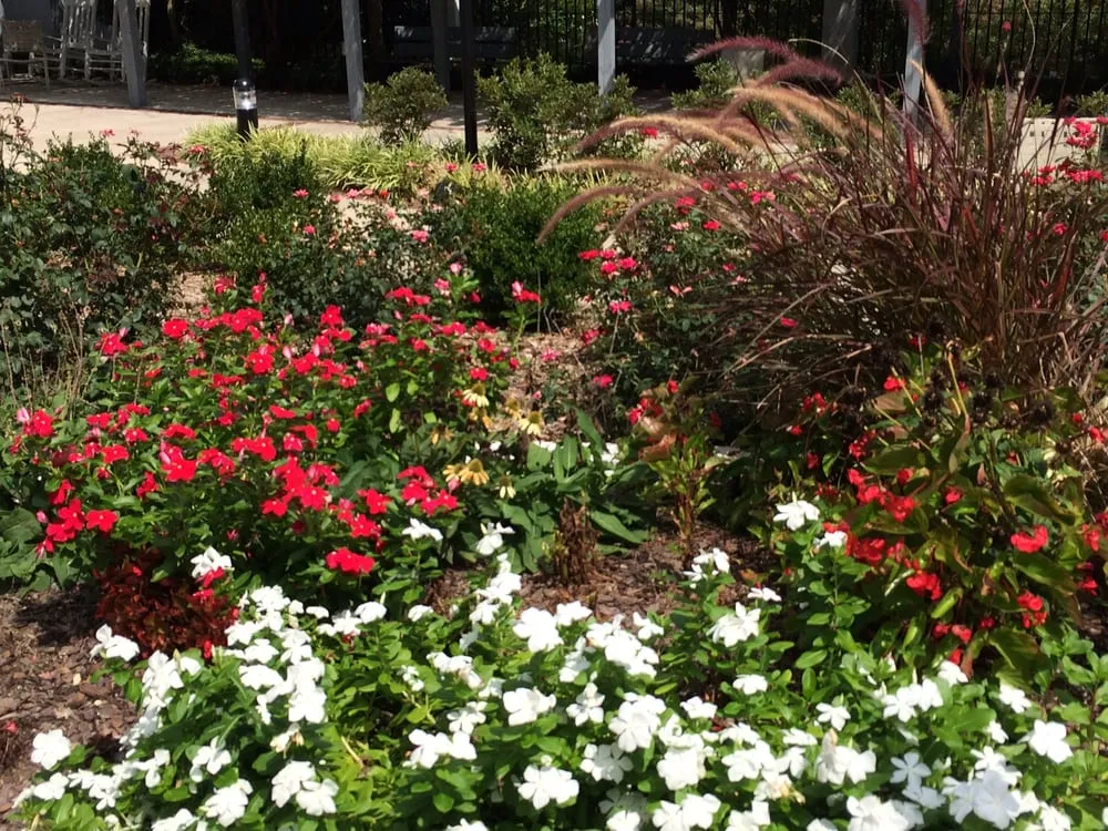 Professional yard maintenance in Augusta, GA - Piedmont Landscape Management