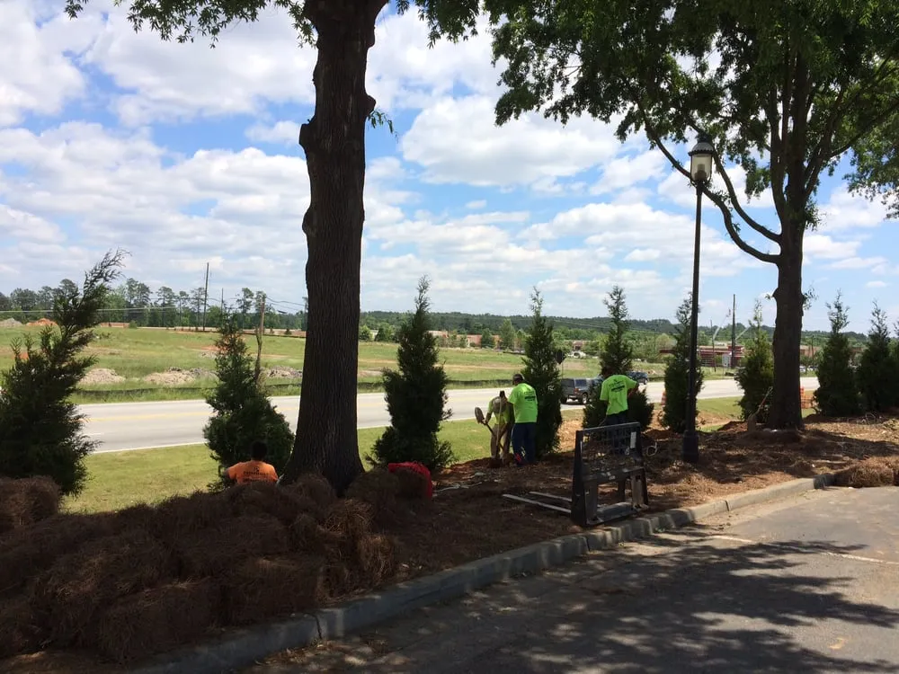 Affordable yard maintenance experts serving Augusta, GA - Piedmont Landscape Management