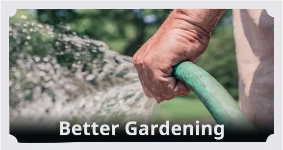 Expert garden landscaping for year-round maintenance across Fort Mill, SC - Piedmont Landscape Solutions