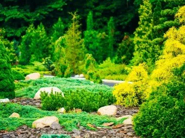 Affordable outdoor landscaping for outdoor upgrades in Fort Mill, SC by Piedmont Landscape Solutions