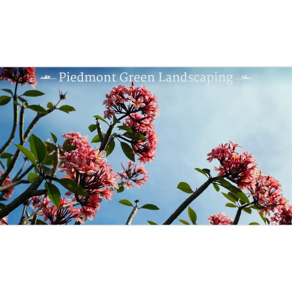 Reliable outdoor landscaping experts serving Fort Mill, SC - Piedmont Landscape Solutions