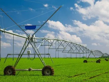 Expert residential landscaping experts serving Fort Mill, SC - Piedmont Landscape Solutions