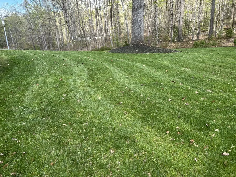 Custom lawn care service for outdoor upgrades in Gainesville, VA by Piedmont Landscaping Services