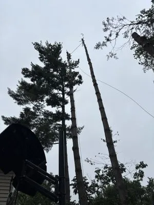 Piedmont Landscaping Services