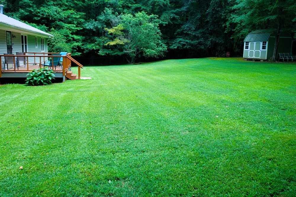 Expert residential landscaping in Griffin, GA by Piedmont Property Professionals