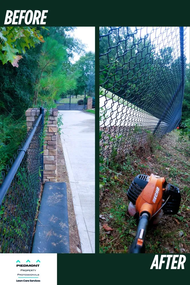 Expert outdoor landscaping in Griffin, GA by Piedmont Property Professionals