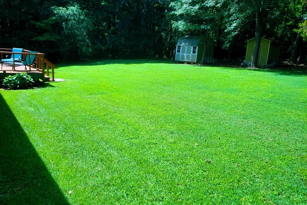 Reliable yard maintenance in Griffin, GA by Piedmont Property Professionals
