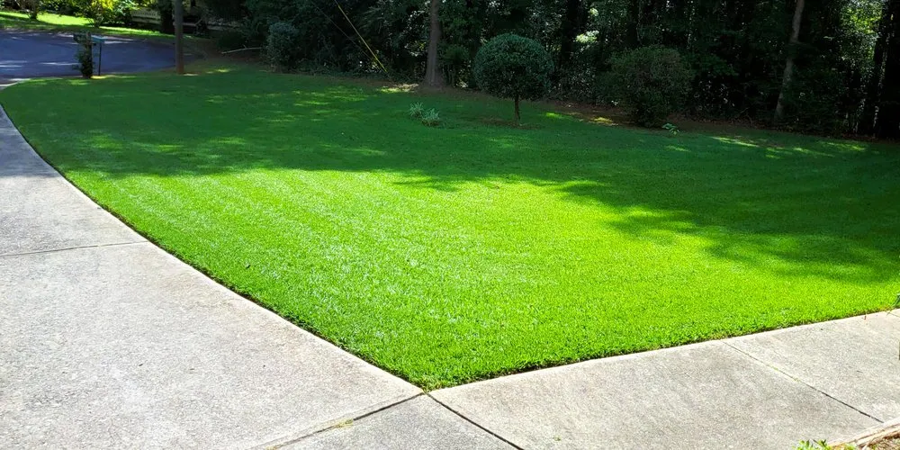 Professional outdoor landscaping in Griffin, GA - Piedmont Property Professionals