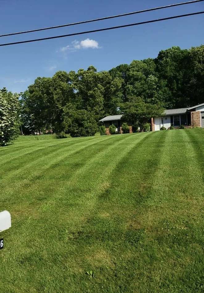 Top-rated landscaping services for year-round maintenance in Winston Salem, NC by Piedmont Scapes