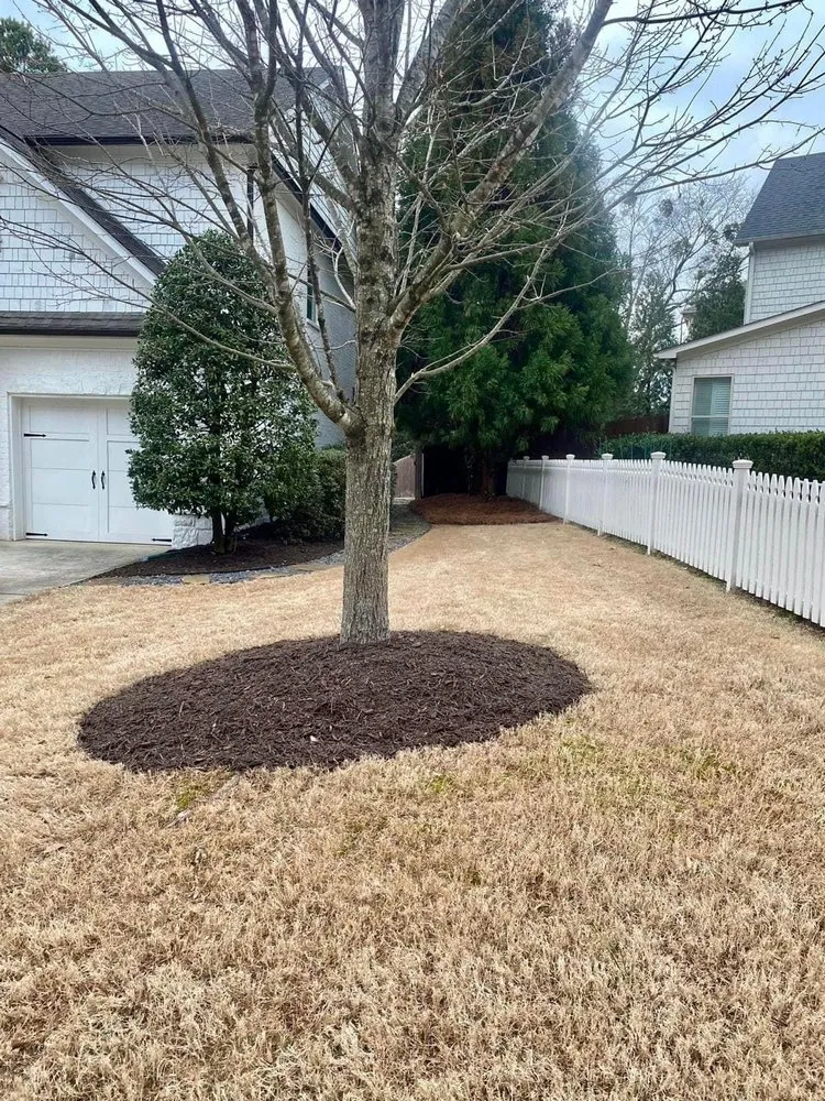 Reliable lawn care service experts serving Winston Salem, NC - Piedmont Scapes