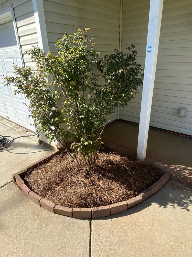 Professional outdoor landscaping in Winston Salem, NC by Piedmont Scapes