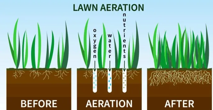 Professional residential landscaping in Winston Salem, NC - Piedmont Scapes