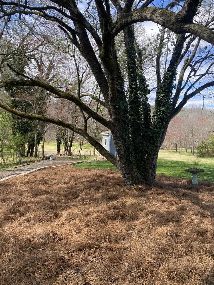 Expert residential landscaping for homes across Winston Salem, NC - Piedmont Scapes