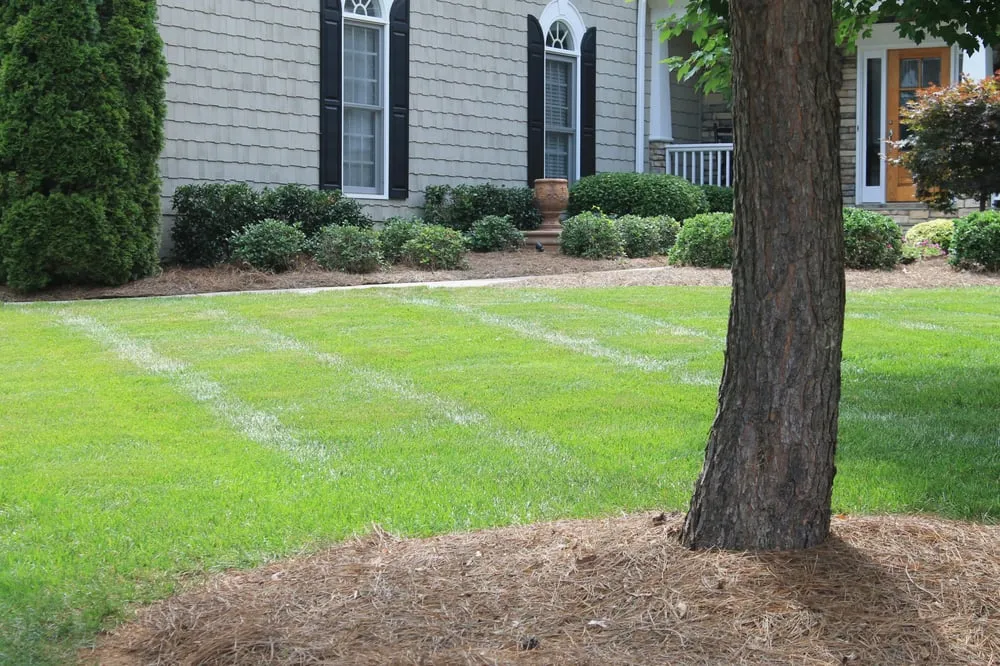 Reliable landscaping services in Troutman, NC by Piedmont South Turf Management