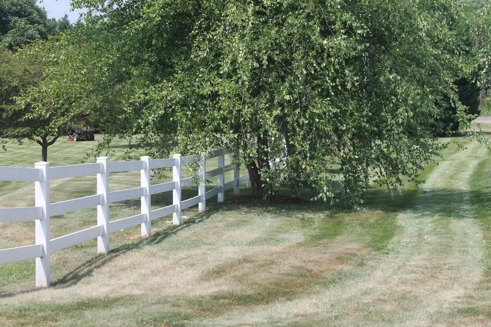 Professional yard maintenance experts serving Troutman, NC - Piedmont South Turf Management