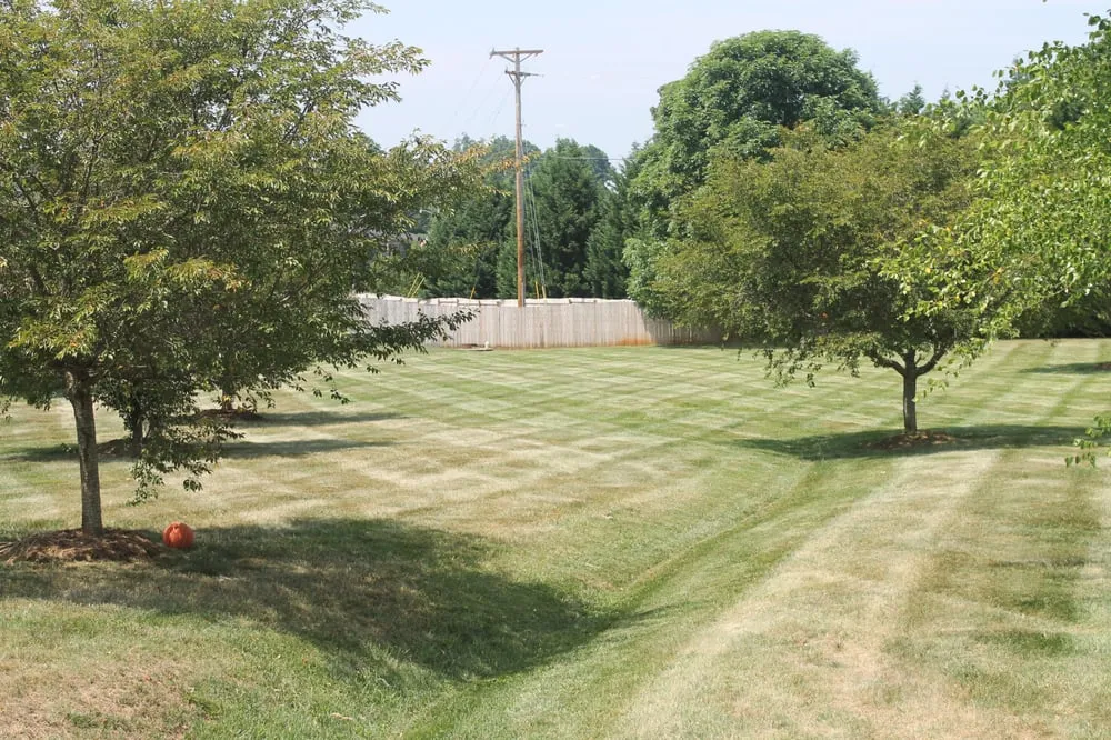 Reliable yard cleanup service in Troutman, NC - Piedmont South Turf Management