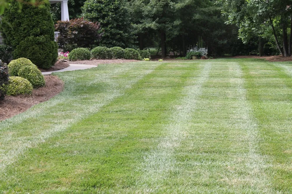 Reliable yard cleanup service near you across Troutman, NC - Piedmont South Turf Management