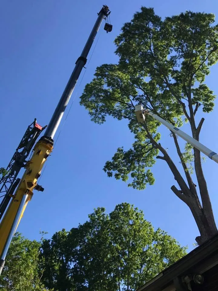 Expert garden landscaping with custom design across Statesville, NC - Piedmont Tree and Lawn Care