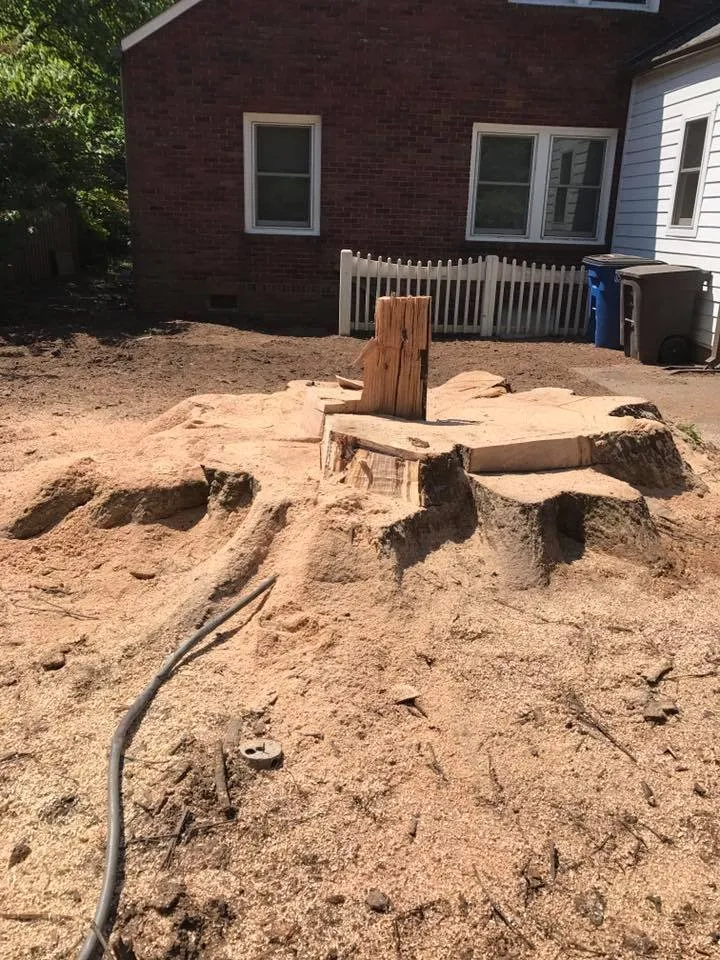 Reliable lawn care service experts serving Statesville, NC - Piedmont Tree and Lawn Care