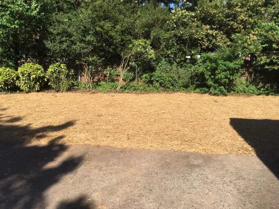 Trusted garden landscaping for residential properties in Statesville, NC by Piedmont Tree and Lawn Care