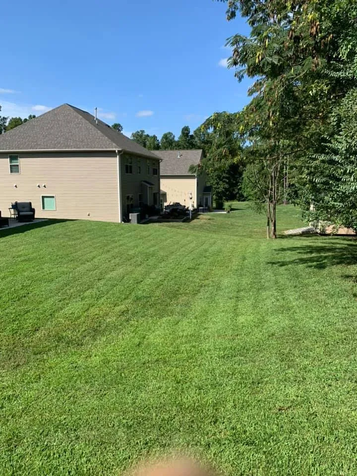 Reliable landscaping services in Greensboro, NC - Piedmont Triad Solutions