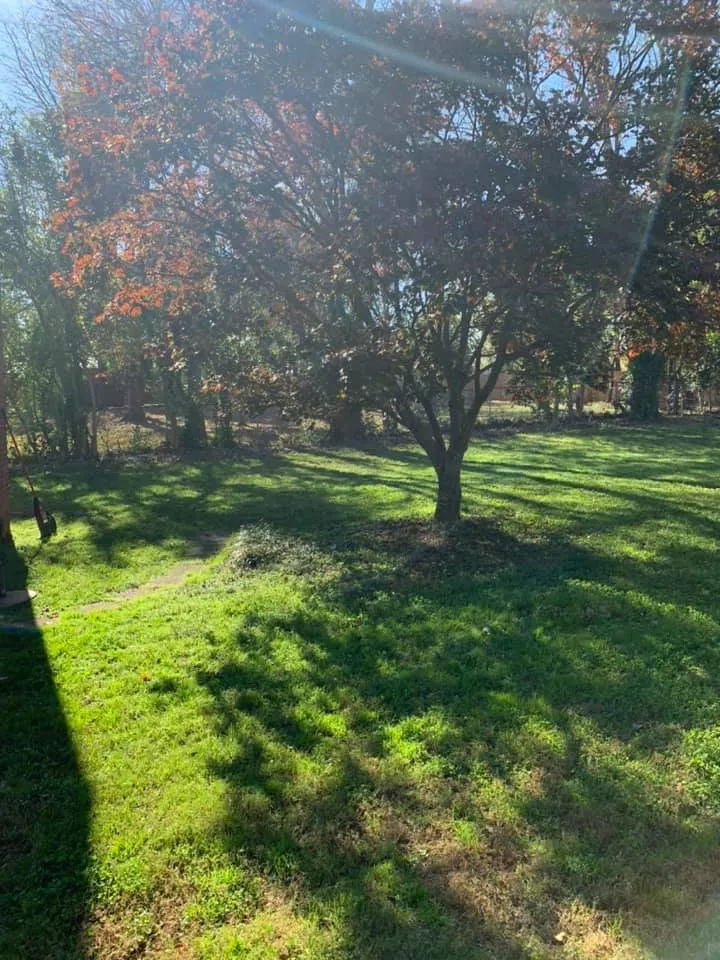 Affordable lawn care service near you across Greensboro, NC - Piedmont Triad Solutions