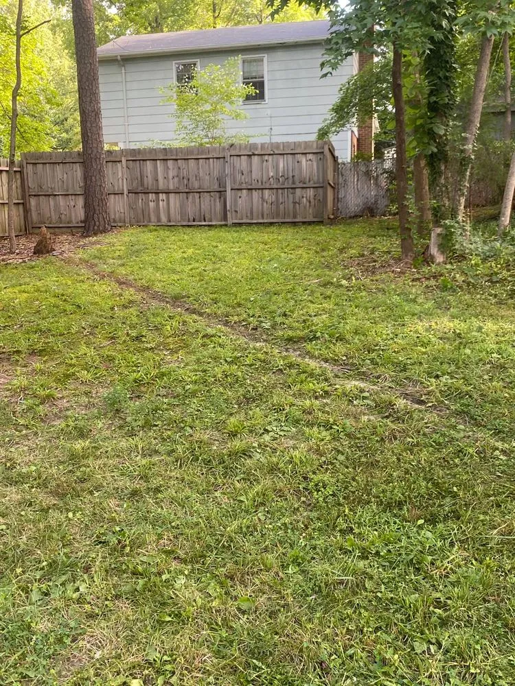 Reliable yard maintenance in Greensboro, NC by Piedmont Triad Solutions