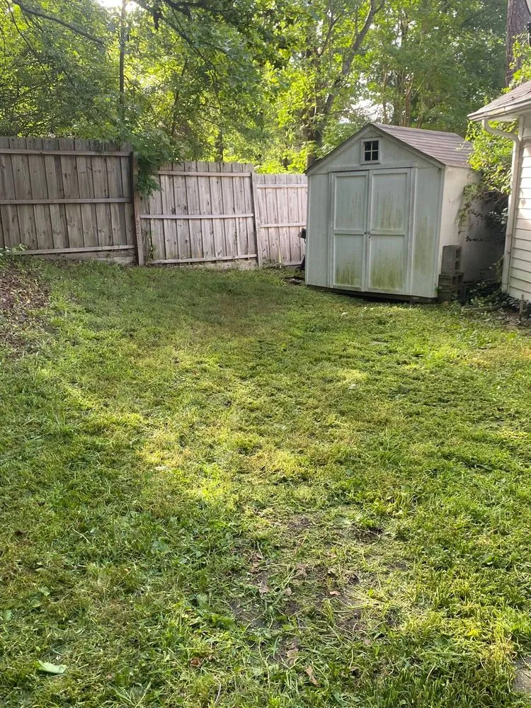 Affordable yard cleanup service for homes in Greensboro, NC by Piedmont Triad Solutions