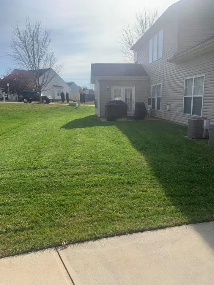 Trusted yard maintenance in Greensboro, NC - Piedmont Triad Solutions