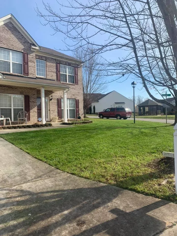 Custom lawn care service in Greensboro, NC by Piedmont Triad Solutions