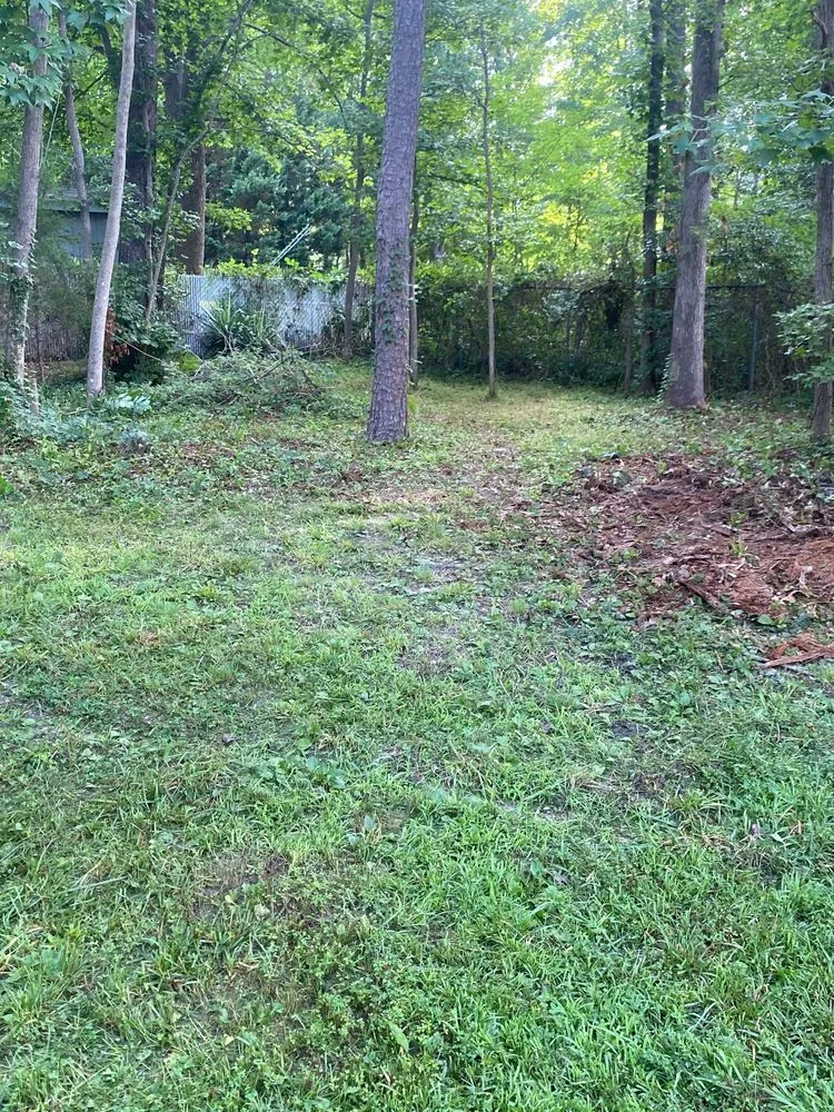 Expert garden landscaping for outdoor upgrades in Greensboro, NC by Piedmont Triad Solutions