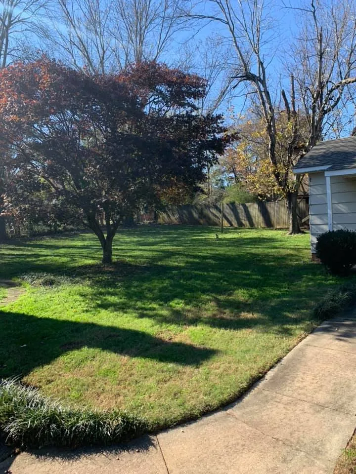 Expert yard cleanup service experts serving Greensboro, NC - Piedmont Triad Solutions