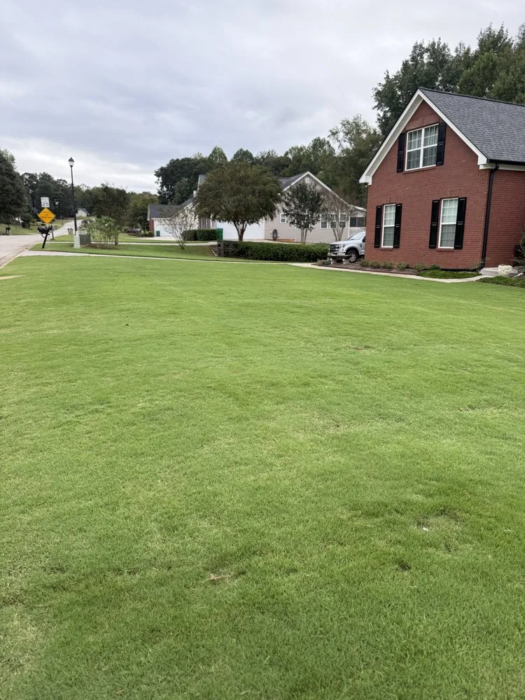 Reliable yard cleanup service experts serving Lawrenceville, GA - Piedmont Turf and Design Services