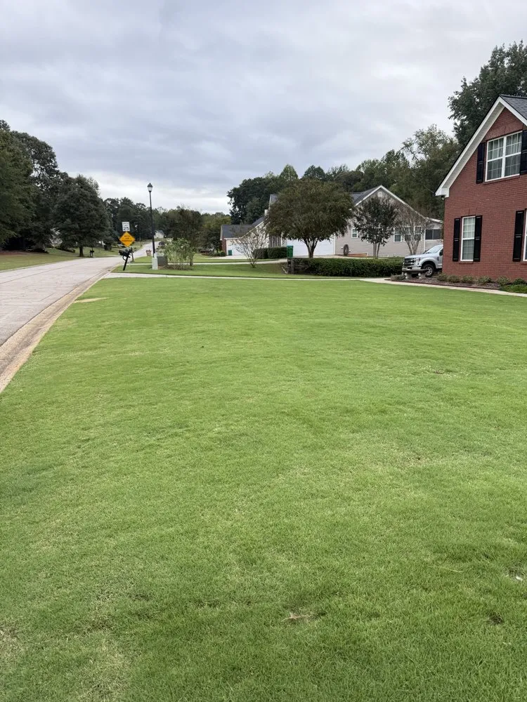 Expert yard cleanup service experts serving Lawrenceville, GA - Piedmont Turf and Design Services