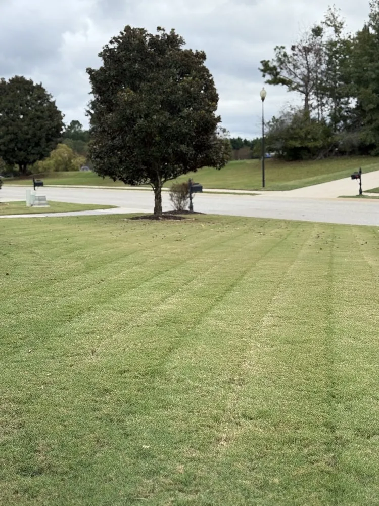 Top-rated residential landscaping experts serving Lawrenceville, GA - Piedmont Turf and Design Services