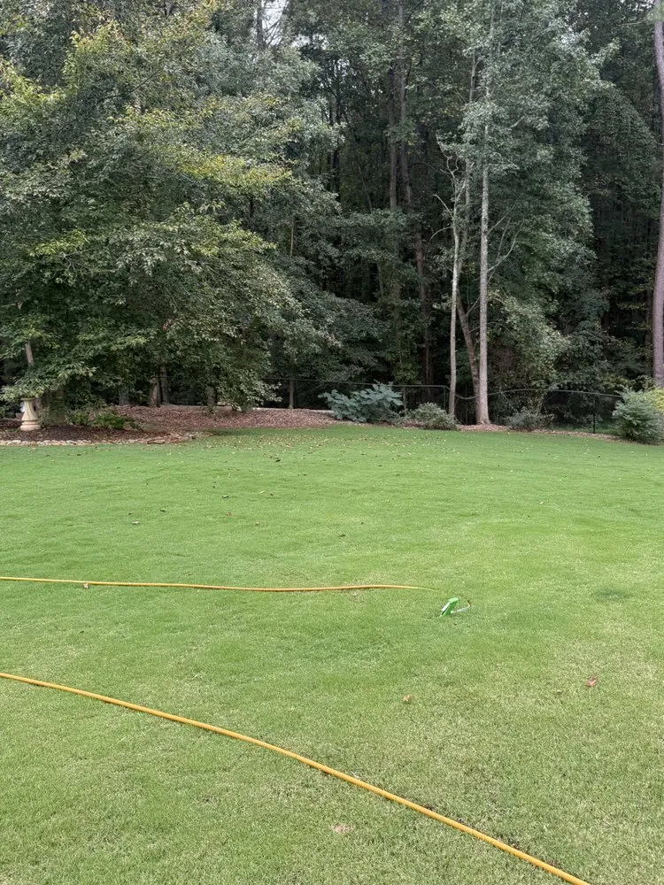 Affordable landscaping services for residential properties in Lawrenceville, GA by Piedmont Turf and Design Services