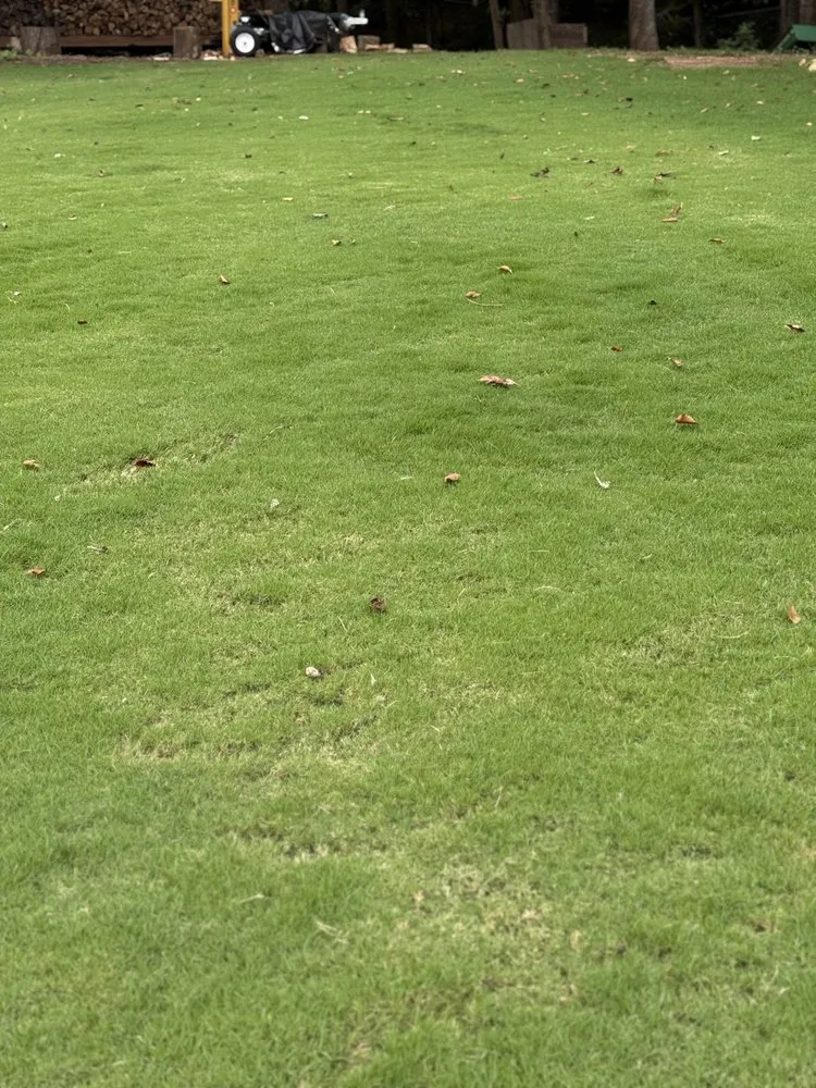 Local yard cleanup service with custom design in Lawrenceville, GA by Piedmont Turf and Design Services