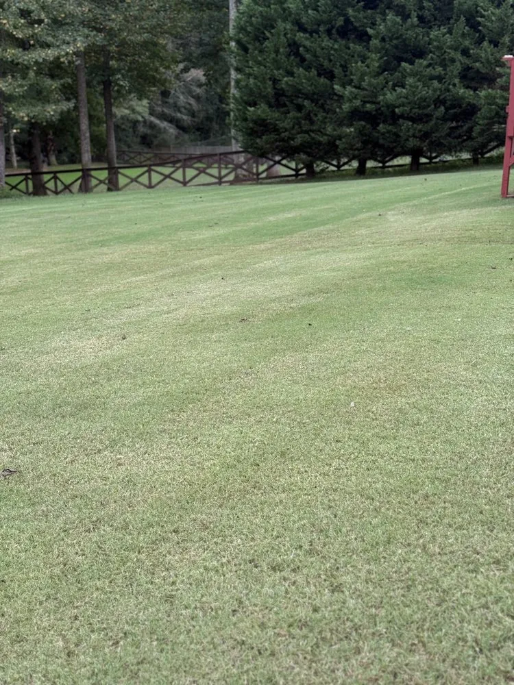 Professional yard maintenance experts serving Lawrenceville, GA - Piedmont Turf and Design Services