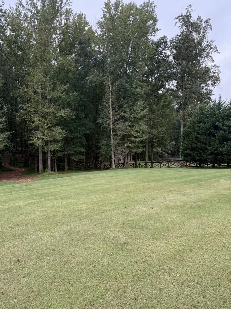 Local yard cleanup service experts serving Lawrenceville, GA - Piedmont Turf and Design Services